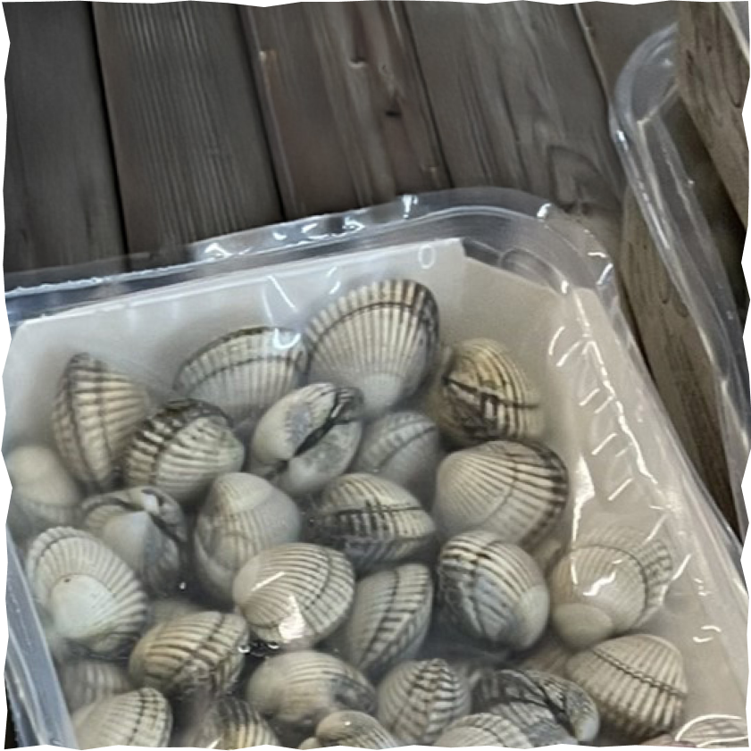 Scheermessen (500 gr) - Zeeland - DEVISMAN