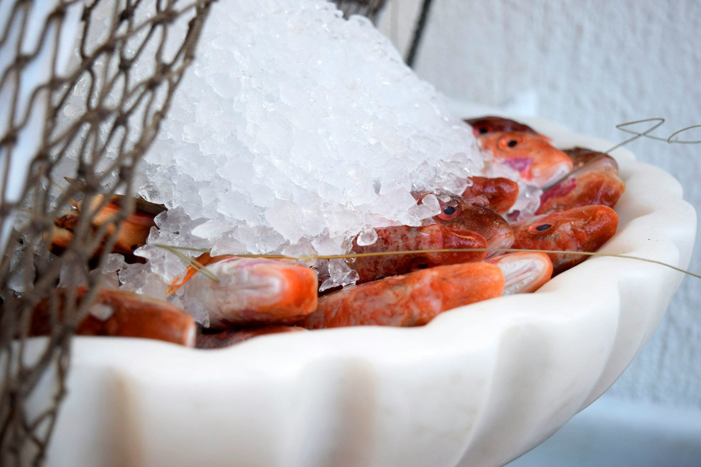 Rode Mul: Een culinaire ontdekking