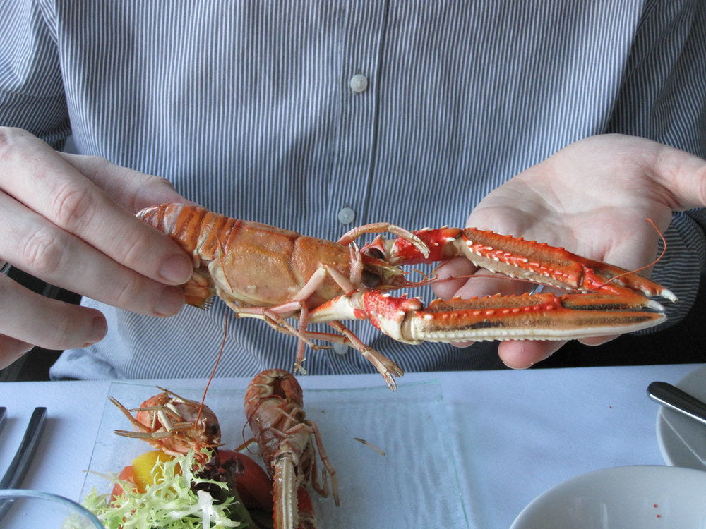 langoustine