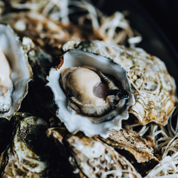
                      
                        Umami oesters (nr. 4, 12 stuks) - Oosterschelde
                      
                    